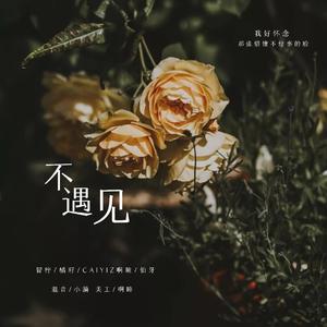 【翻唱】不遇见
