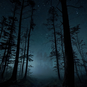 Fogwood (Slowed and Reverb)