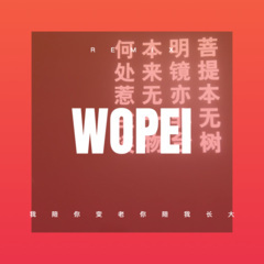 我陪你变老你陪我长大 (DJ版)