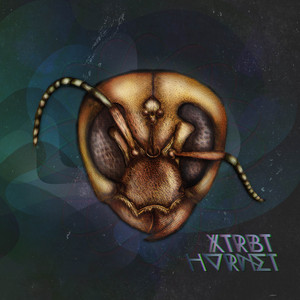 Hornet