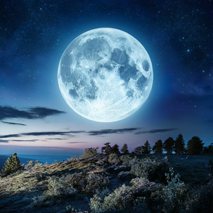 Melodías Serenas Para Tu Noche
