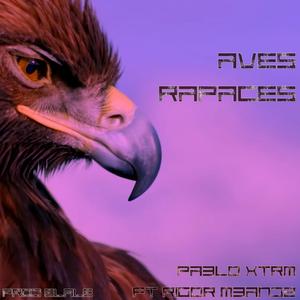 Aves Rapaces (feat. Rigor Mbandz)