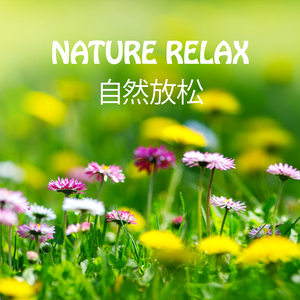 Above The Clouds - 在云层之上