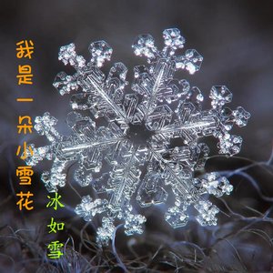我是一朵小雪
