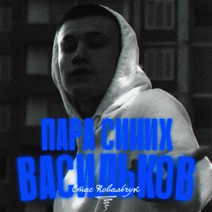 Пара синих васильков