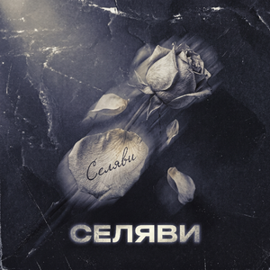 Селяви