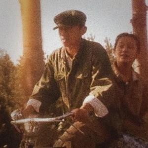 阳光灿烂的日子