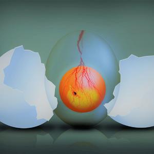 【FREE trap 水淹鸡蛋】