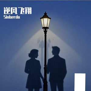 逆风飞翔