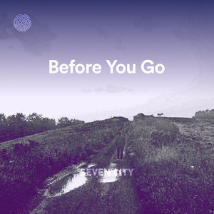 Before You Go
