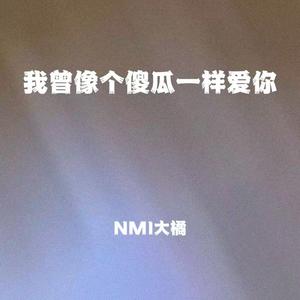 我曾像个傻瓜一样爱你