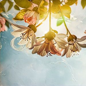 丁香结愁肠