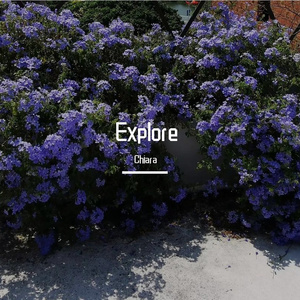 Plus（feat.michel）