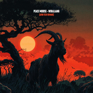 WIRALAANG (Afro tech Remake)