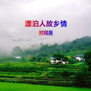漂泊人故乡情(对唱版)