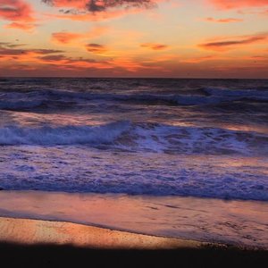 那年冬天的花落V3