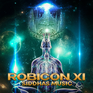 Robicon XI