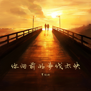 你向前的步伐太快 (都市版)