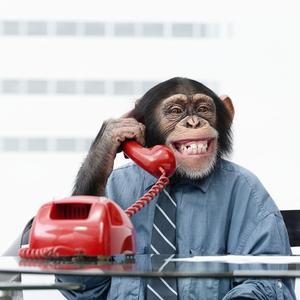 អឡូប៉ា! លឺទេប៉ាៗៗៗៗ