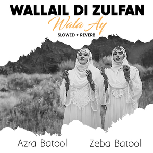 Wallail Di Zulfan Wala Ay (Lofi-Mix)