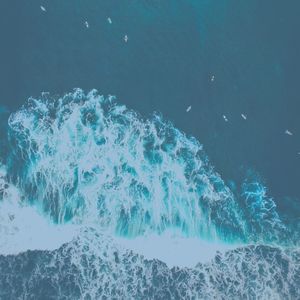 抚慰的睡浪回忆