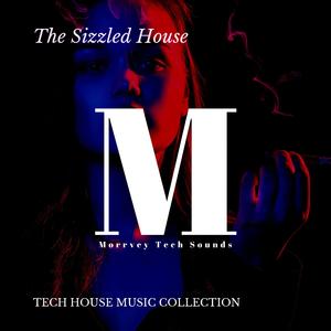 Invisible Entity (Space Disco Tech House)