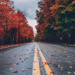 小可爱真调皮（纯音乐）