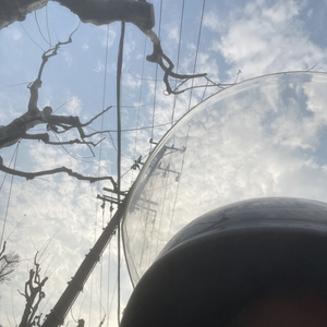 阿拉斯加的海湾.wav