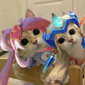 给你混我玩什么