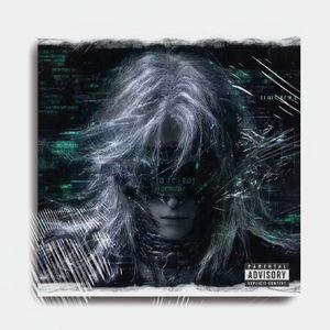 【FREE BEAT】“旋律玩家”slayr 二次元 x pluggnb x uk garage