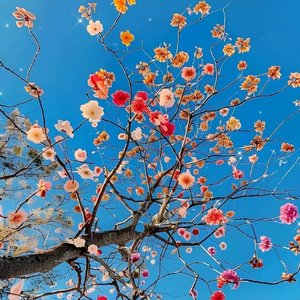 雪天的甜蜜爱恋