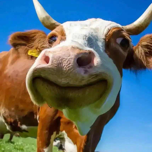 如果时光能听见