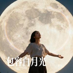 白月光与朱砂痣 (清玉 Remix)