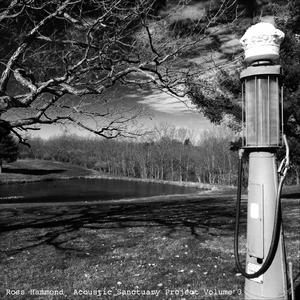 Under the Sawtooth Oak