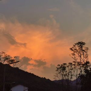 发香 cover乔佳旭