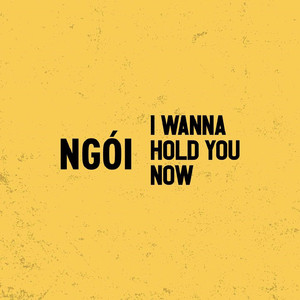 I Wanna Hold You Now