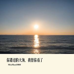 你错过的大海，我替你看了