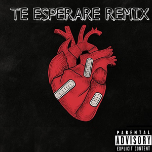 Te Esperare (Remix)