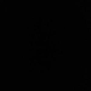 房间里的大象-separated（Prod. EleSpace）（苏宸明 remix）