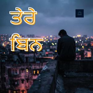 ਤੇਰੇ ਬਿਨ (Tere Bin)