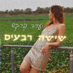 שישה רבעים