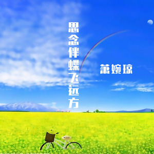 思念伴蝶飞远方