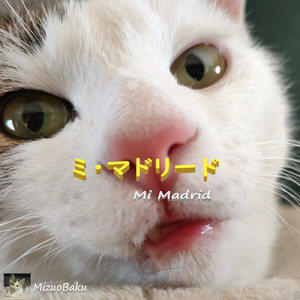 ミ・マドリード