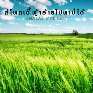 ຂໍໂທດເດີ້ຫຼ້າອ້າຍໄປຫາບໍ່ໄດ້