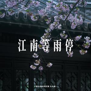 江南等雨停 (R&B氛围女声)