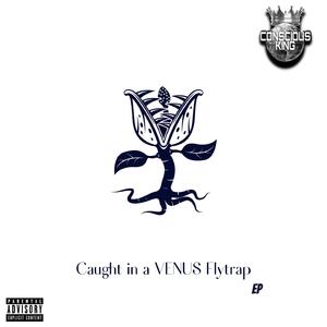 Everybody wants to say something