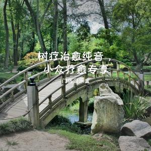 夏日炎炎柳树催眠