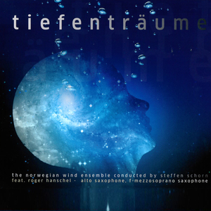 Tauspiegelungen