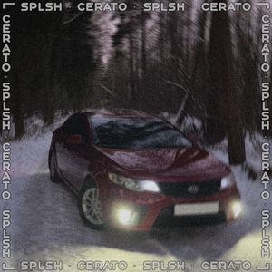 Cerato