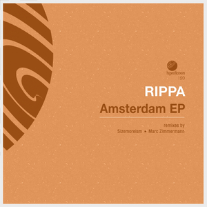 Amsternight (Marc Zimmermann Remix)